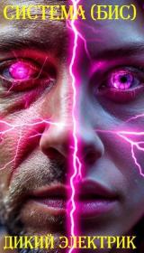 Система (бис). Дикий Электрик