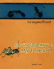 Книга - Бриодемус-музыкант.  Павел Иустинович Мариковский  - прочитать полностью в библиотеке КнигаГо