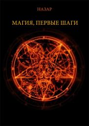 Книга - Назар Магия, первые шаги.  Александр Сергеевич Назаркин  - прочитать полностью в библиотеке КнигаГо