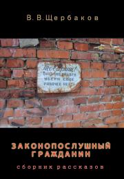 Книга - Законопослушный гражданин.  Владлен Валерьевич Щербаков  - прочитать полностью в библиотеке КнигаГо