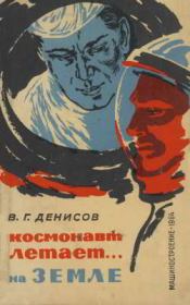 Книга - Космонавт летает... на земле.  Виктор Григорьевич Денисов  - прочитать полностью в библиотеке КнигаГо