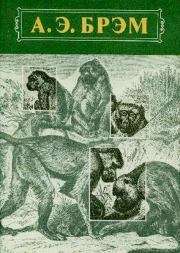 Книга - Жизнь животных Том I Млекопитающие.  Альфред Эдмунд Брэм  - прочитать полностью в библиотеке КнигаГо