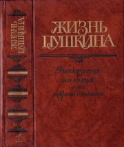 Книга - Жизнь Пушкина.  Виктор Владимирович Кунин  - прочитать полностью в библиотеке КнигаГо