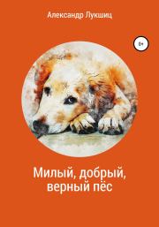 Книга - Милый, добрый, верный пёс.  Александр Александрович Лукшиц  - прочитать полностью в библиотеке КнигаГо