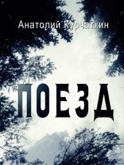 Книга - Поезд.  Анатолий Николаевич Курчаткин  - прочитать полностью в библиотеке КнигаГо