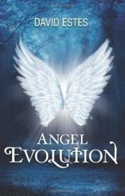 Книга - Эволюция Ангелов.  Дэвид Эстес  - прочитать полностью в библиотеке КнигаГо