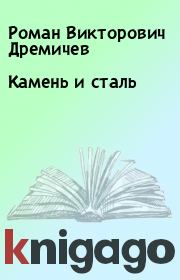 Книга - Камень и сталь.  Роман Викторович Дремичев  - прочитать полностью в библиотеке КнигаГо