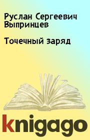 Книга - Точечный заряд.  Руслан Сергеевич Выпринцев  - прочитать полностью в библиотеке КнигаГо