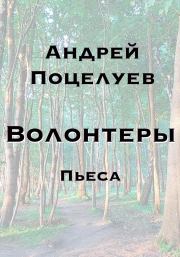 Книга - Волонтеры.  Андрей Владимирович Поцелуев  - прочитать полностью в библиотеке КнигаГо