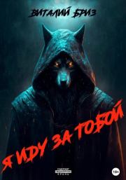 Я иду за тобой. Виталий Бриз