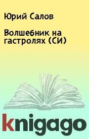 Волшебник на гастролях (СИ). Юрий Салов