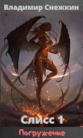 Слисс 1. Погружение. Владимир Снежкин