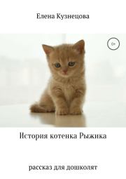 Книга - История котенка Рыжика.  Елена Алексеевна Кузнецова  - прочитать полностью в библиотеке КнигаГо