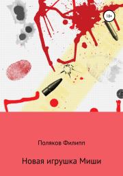 Книга - Новая игрушка Миши.  Филипп Борисович Поляков  - прочитать полностью в библиотеке КнигаГо