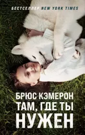 Там, где ты нужен. Брюс Кэмерон