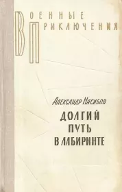 Долгий путь в лабиринте. Александр Ашотович Насибов