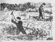 Начальник квадрата 15-85. Олег Фокич Коряков