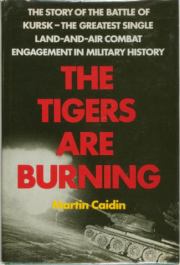 Книга - «Тигры» горят! Разгром танковой элиты Гитлера.  Мартин Кэйдин  - прочитать полностью в библиотеке КнигаГо