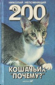 Книга - 200 Кошачьих "Почему?".  Николай Николаевич Непомнящий  - прочитать полностью в библиотеке КнигаГо