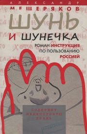 Книга - Шунь и Шунечка.  Александр Николаевич Мещеряков  - прочитать полностью в библиотеке КнигаГо