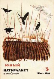 Юный натуралист 1936 №3. Журнал «Юный натуралист»