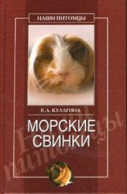 Книга - Морские свинки.  Кристина Александровна Кулагина  - прочитать полностью в библиотеке КнигаГо