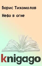 Книга - Небо в огне.  Борис Тихомолов  - прочитать полностью в библиотеке КнигаГо
