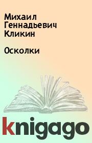 Книга - Осколки.  Михаил Геннадьевич Кликин  - прочитать полностью в библиотеке КнигаГо