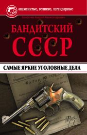 Книга - Бандитский СССР. Самые яркие уголовные дела.  Андрей Александрович Колесник  - прочитать полностью в библиотеке КнигаГо