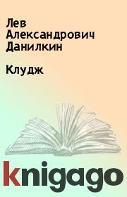 Книга - Клудж.  Лев Александрович Данилкин  - прочитать полностью в библиотеке КнигаГо