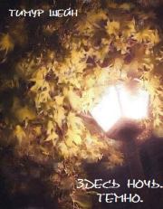 Здесь ночь. Темно.. Тимур Шейн