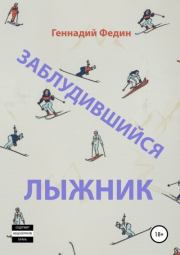 Книга - Заблудившийся лыжник.  Геннадий Львович Федин  - прочитать полностью в библиотеке КнигаГо