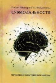 Субмодальности. Ричард Бендлер