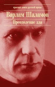 Книга - Леша Чеканов, или Однодельцы на Колыме.  Варлам Тихонович Шаламов  - прочитать полностью в библиотеке КнигаГо