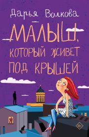 Книга - Малыш, который живет под крышей.  Дарья Александровна Волкова  - прочитать полностью в библиотеке КнигаГо
