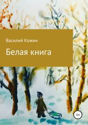 Книга - Белая книга.  Василий Владимирович Кожин  - прочитать полностью в библиотеке КнигаГо