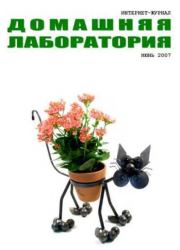 Интернет-журнал "Домашняя лаборатория", 2007 №6.   (Журнал «Домашняя лаборатория»)