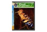 Книга - Юный натуралист 1982 №07.  Журнал «Юный натуралист»  - прочитать полностью в библиотеке КнигаГо