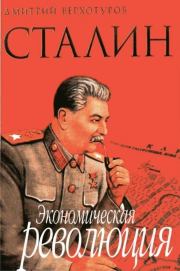 Книга - Сталин. Экономическая революция.  Дмитрий Николаевич Верхотуров  - прочитать полностью в библиотеке КнигаГо