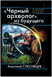 Черный археолог из будущего. Дикое Поле. Анатолий Фёдорович Спесивцев