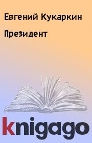 Книга - Президент.  Евгений Кукаркин  - прочитать полностью в библиотеке КнигаГо