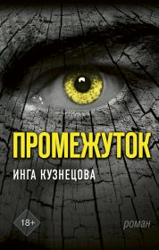 Книга - Промежуток.  Инга Анатольевна Кузнецова  - прочитать полностью в библиотеке КнигаГо