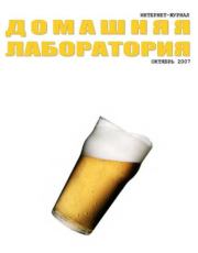 Интернет-журнал "Домашняя лаборатория", 2007 №10. Автор неизвестен