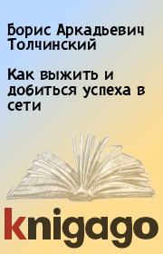 Как выжить и добиться успеха в сети. Борис Аркадьевич Толчинский