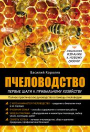 Пчеловодство: первые шаги к прибыльному хозяйству. Василий Павлович Королев