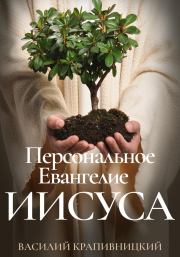 Книга - Персональное Евангелие Иисуса.  Василий Крапивницкий  - прочитать полностью в библиотеке КнигаГо