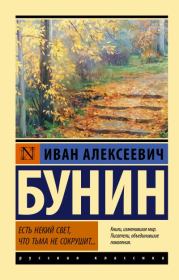 Есть некий свет, что тьма не сокрушит…. Иван Алексеевич Бунин