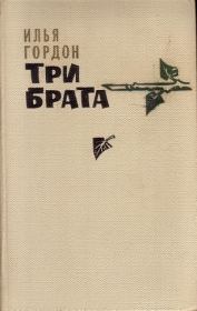 Книга - Три брата.  Илья Зиновьевич Гордон  - прочитать полностью в библиотеке КнигаГо