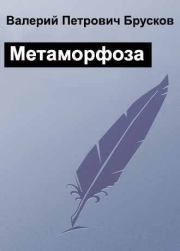 Книга - Метаморфоза.  Валерий Петрович Брусков  - прочитать полностью в библиотеке КнигаГо