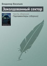 Книга - Заколдованный сектор.  Владимир Николаевич Васильев  - прочитать полностью в библиотеке КнигаГо
